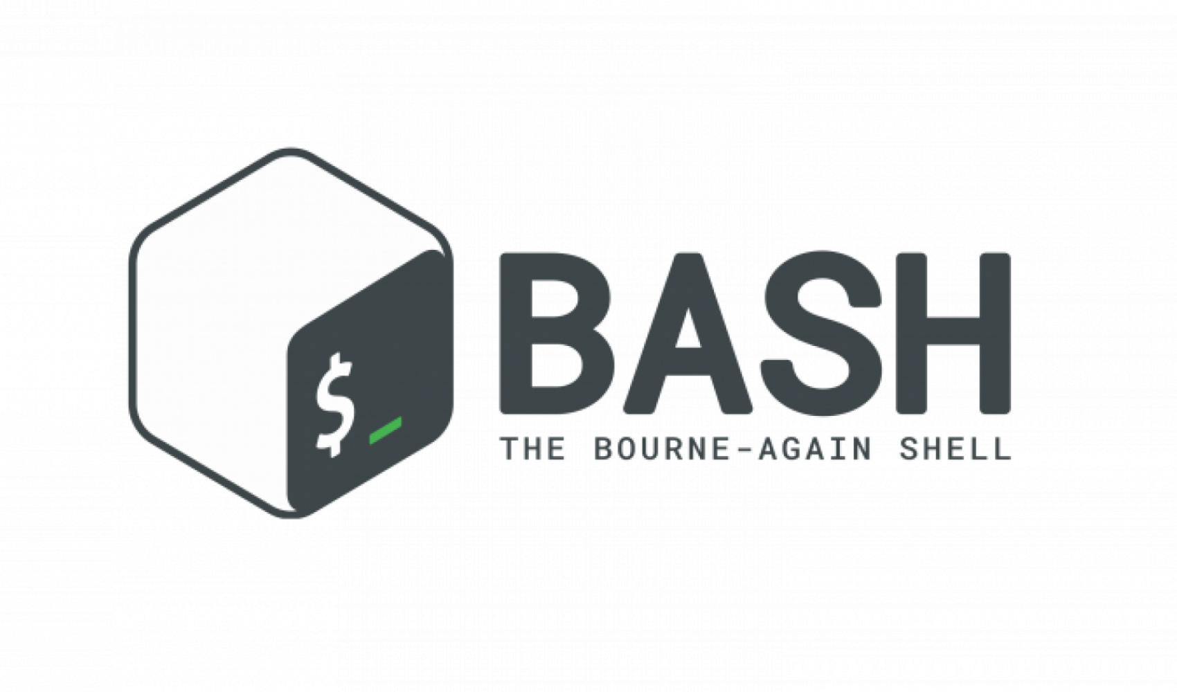 BASH Programming Language