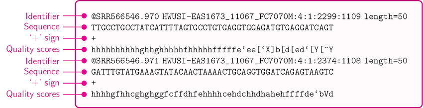 Example FASTQ File Formatting