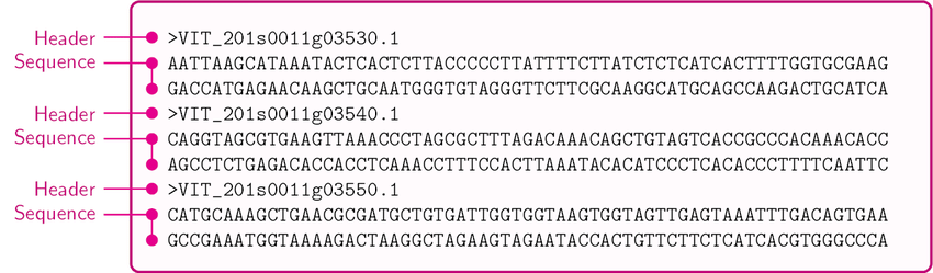 Fasta Format Example