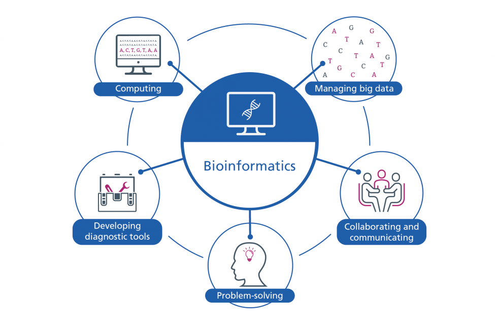 What is Bioinformatics?