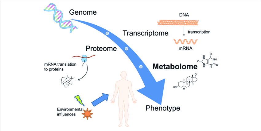 Genomics Overview