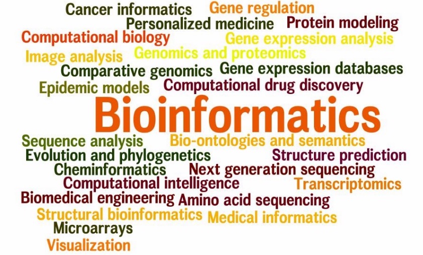 What is Bioinformatics?