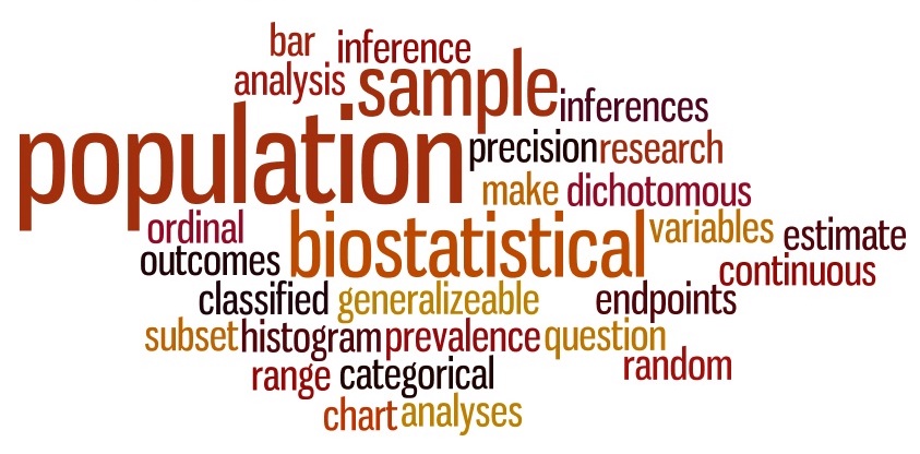 What is Biostats?