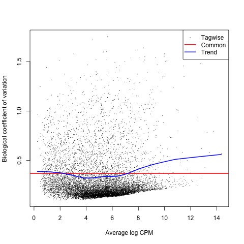 BCV Plot