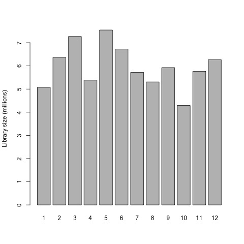 Barplot After Normalization