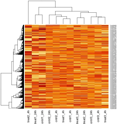 Heatmap After Normalization