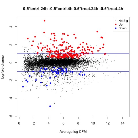 24h vs 4h Effect