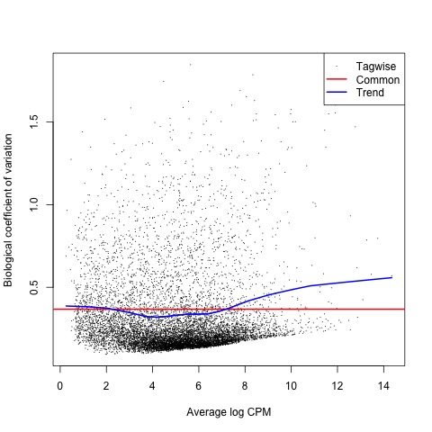 BCV Plot